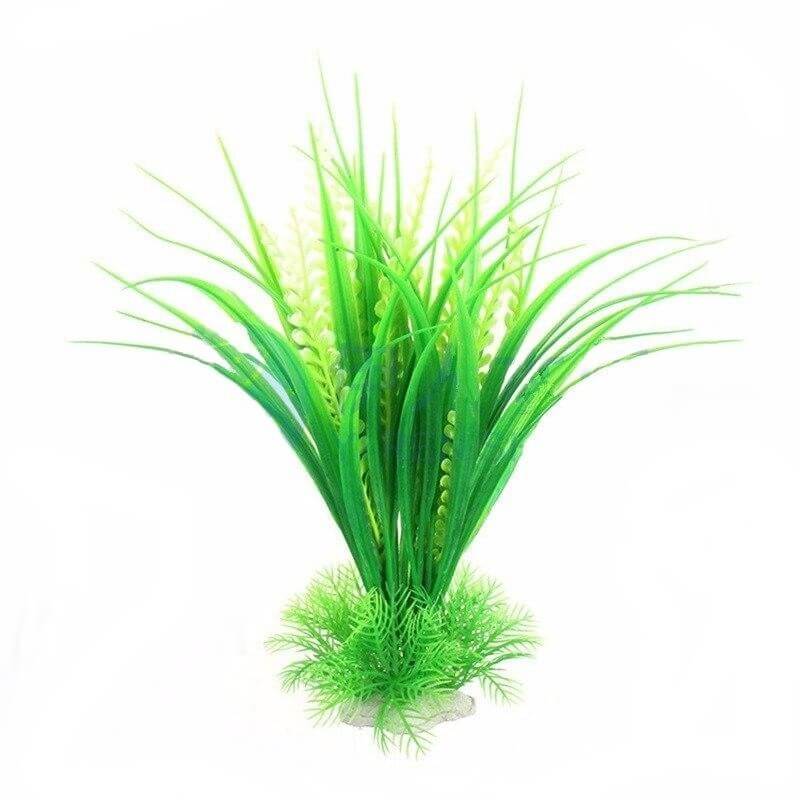 Plante aquarium tropical vert