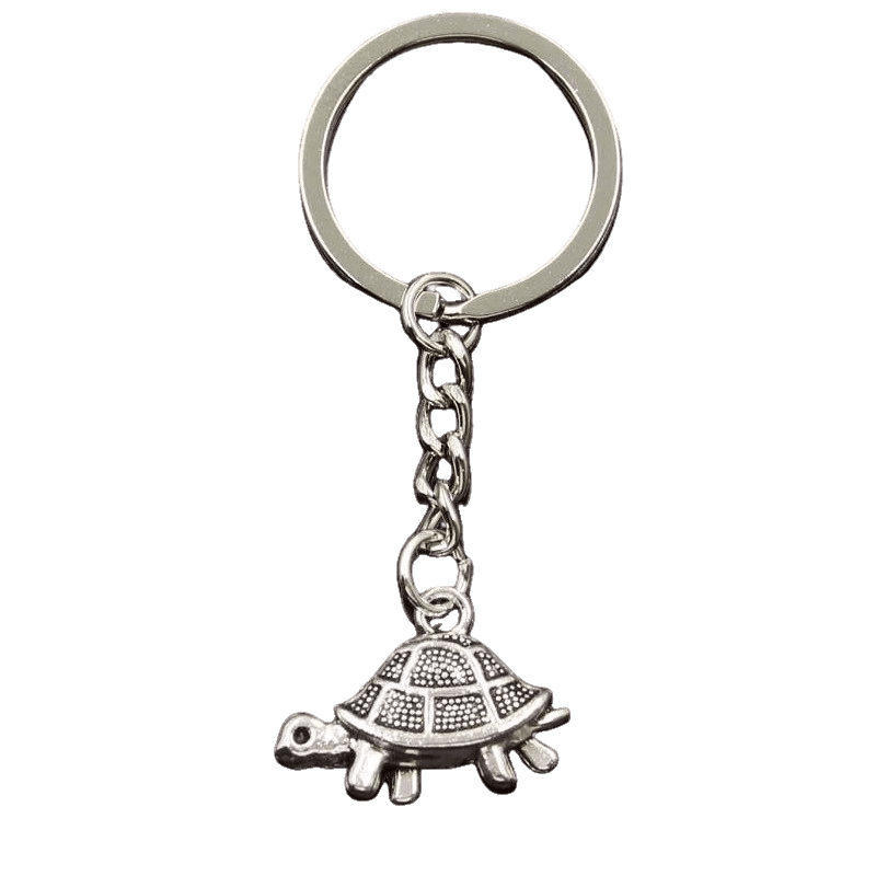 Porte-clé Tortue Façade couleur Argent