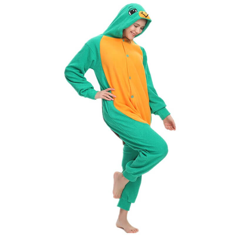 Pyjama Tortue Kigurumi Japonais visuel