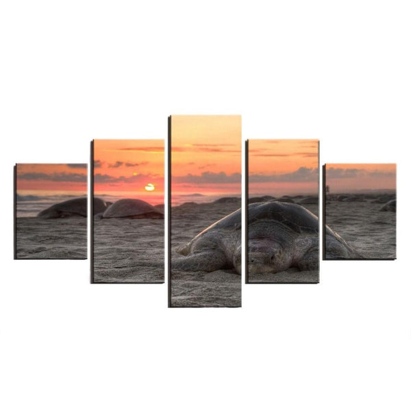 Tableau décoratif portrait Tortue Coucher de Soleil