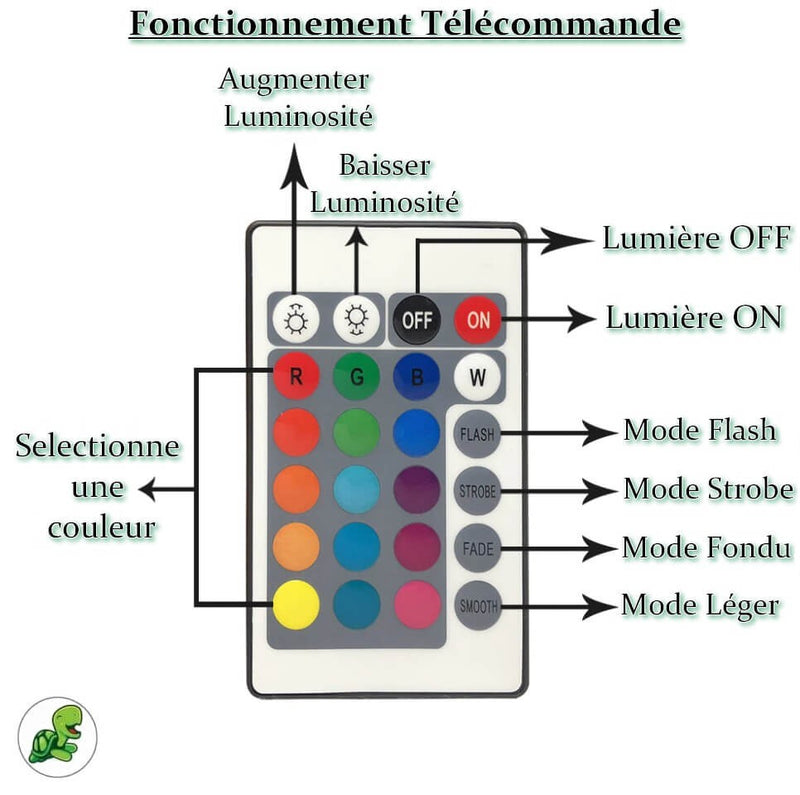 Télécommande Lampe Tortue 3D Calme