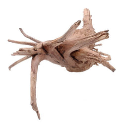 Branche de bois décoration aquarium
