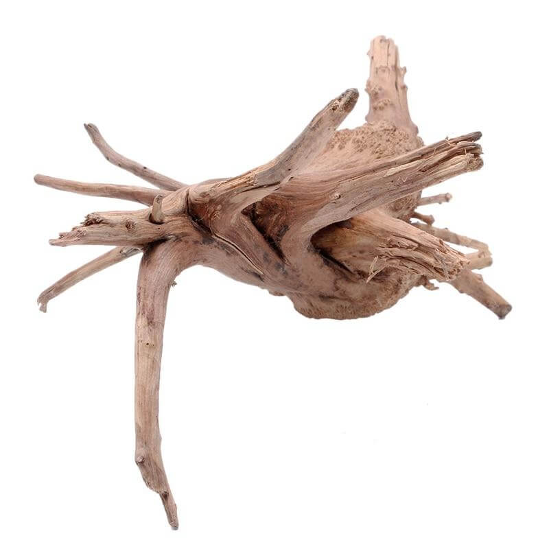 Branche de bois décoration aquarium