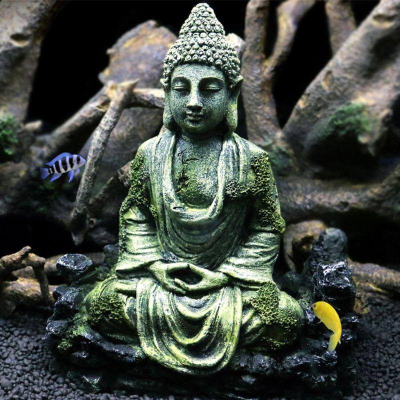 Décoration Terrarium Bouddha poisson