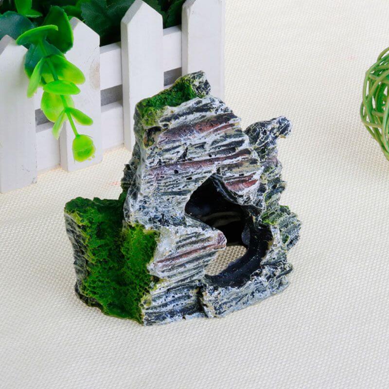 Décoration paludarium taille réelle