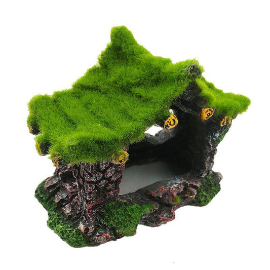 Décoration Terrarium Maisonnette