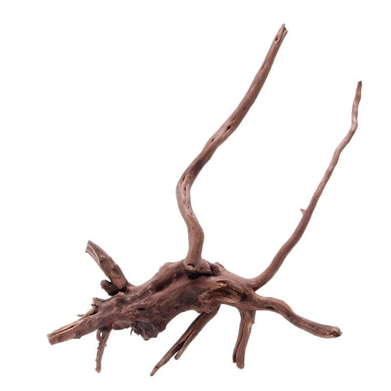 Branche de bois décoration terrarium