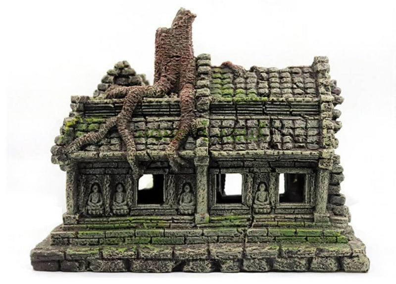 décoration aquarium et terrarium