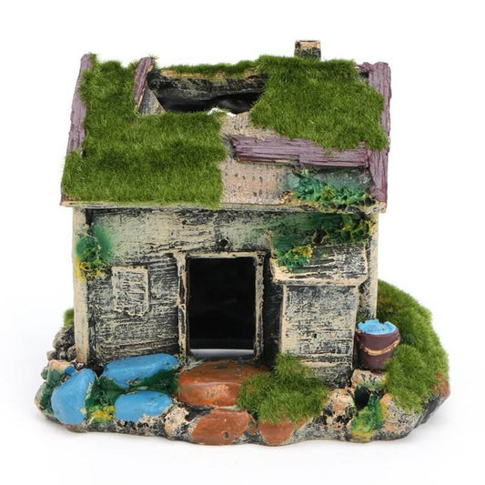 Décoration Terrarium Pogona