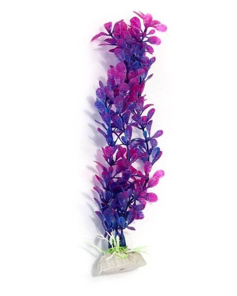 Plantes plastique pour aquarium Artificielle