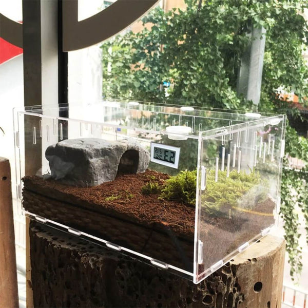 terrarium hygrometre pour reptile