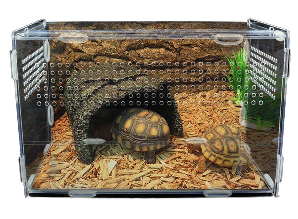 terrarium tortue acrylique solide