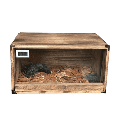 terrarium hygromètre en bois