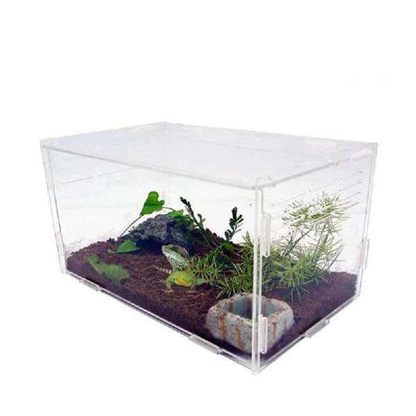 terrarium tortue et reptile en acrylique solide