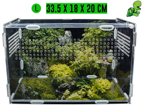 terrarium tortue large